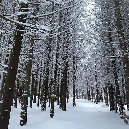 Hills - Evergreen Apartment *